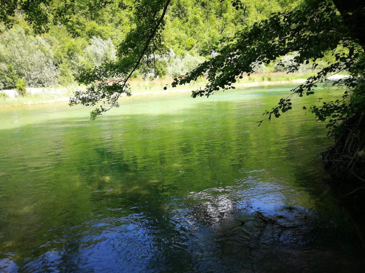 Exo Log Cottage Jezero  Номер фото